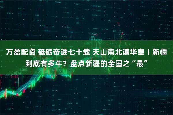 万盈配资 砥砺奋进七十载 天山南北谱华章丨新疆到底有多牛？盘点新疆的全国之“最”