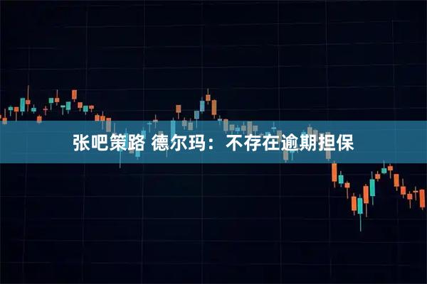 张吧策路 德尔玛：不存在逾期担保