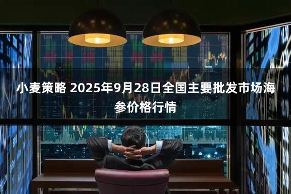 小麦策略 2025年9月28日全国主要批发市场海参价格行情