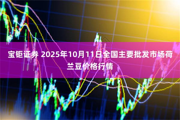 宝钜证券 2025年10月11日全国主要批发市场荷兰豆价格行情